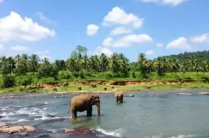 Bilateral deals Sri Lanka