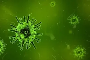coronavirus