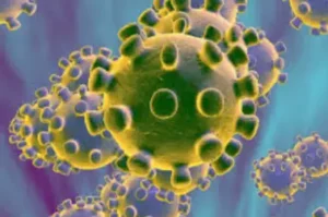 Coronavirus   425 people d