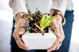 plant this Valentine s D