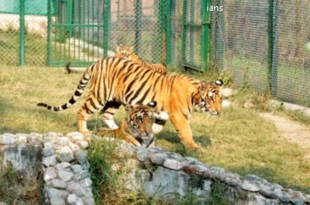 Central Zoo Authority gives approval for TN s fifth Zoo