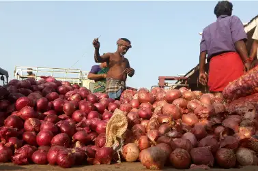 Onions export ban lifts