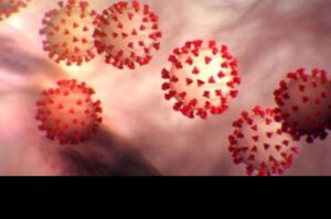 Woman IAS officer to research on Pandemic at Harvard