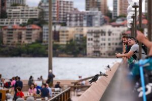Aus to see fewer temporary migrants in 2020 due to COVID 19