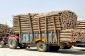 Financial sectors  minor and timber forest produce exempted from lockdown