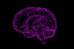 Can binge drinkers be tamed via switching off a brain receptor