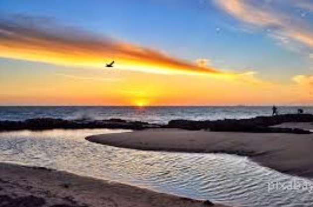 The Beaches Of India