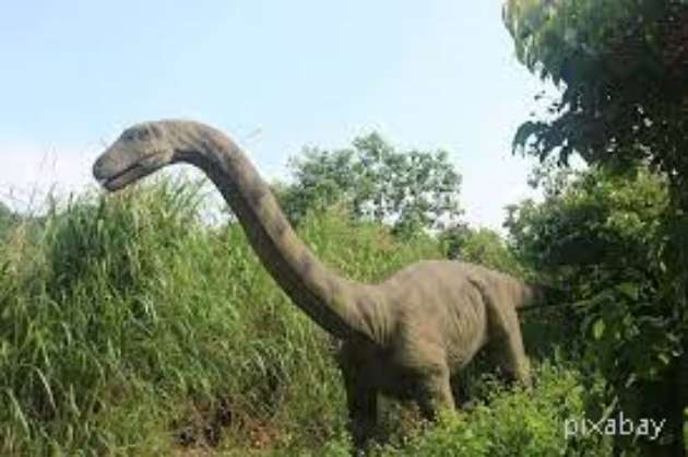 How did dinosaurs become extinct