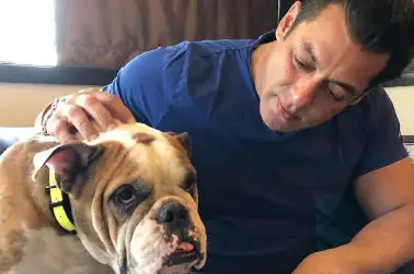 Salman Khan s Most  Lovin
