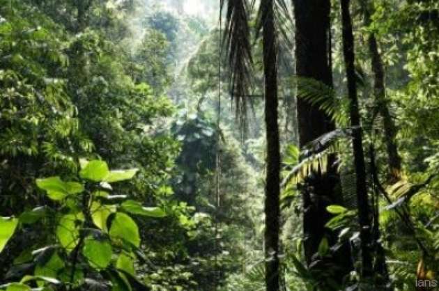 New global framework to manage nature through 2030