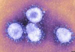 Kerala on high alert over MERS