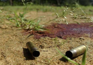 Seven commandos killed in Maoist attack in Maharashtra