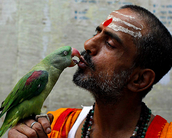The stars are lining up for Indian astrology startups