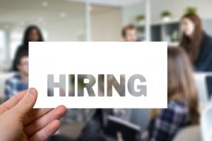 Top Indian IT Companies Seek to Hire 90,000 Fresh Talents in FY25 Amid Encouraging Quarterly Earnings