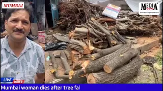 Tree collapse kills woman