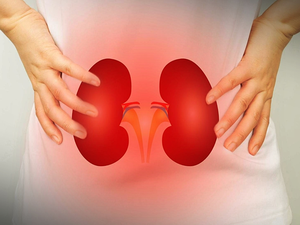 Liquid Biopsy May Help Avoid Kidney Transplant Rejections, Finds Recent Study