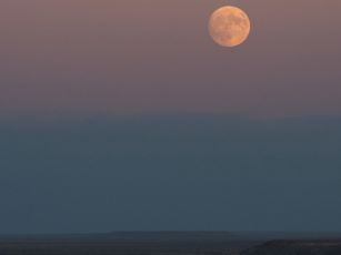 First Supermoon of 2024 Will be Visible in India on Monday Night; Four Supermoons in a Row This Year