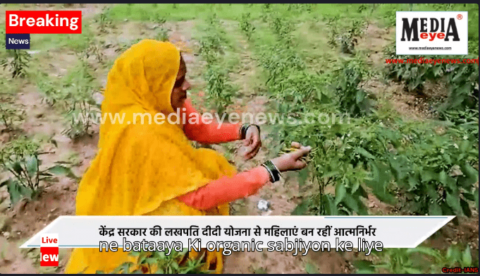 Jhansi's Rachna Became ‘Lakhpati Didi’ With the Help of Organic Farming
