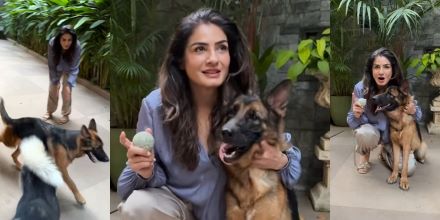 Raveena Tandon Adopts ‘Abandoned’ German Shepherd Dog; The Actress Welcomes the Pet to Its ‘Forever Home’