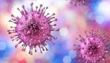 WHO: 1 Person Globally Acquires a New Genital Herpes Infection Every second; Estimated to Be 42 Million Worldwide Annually