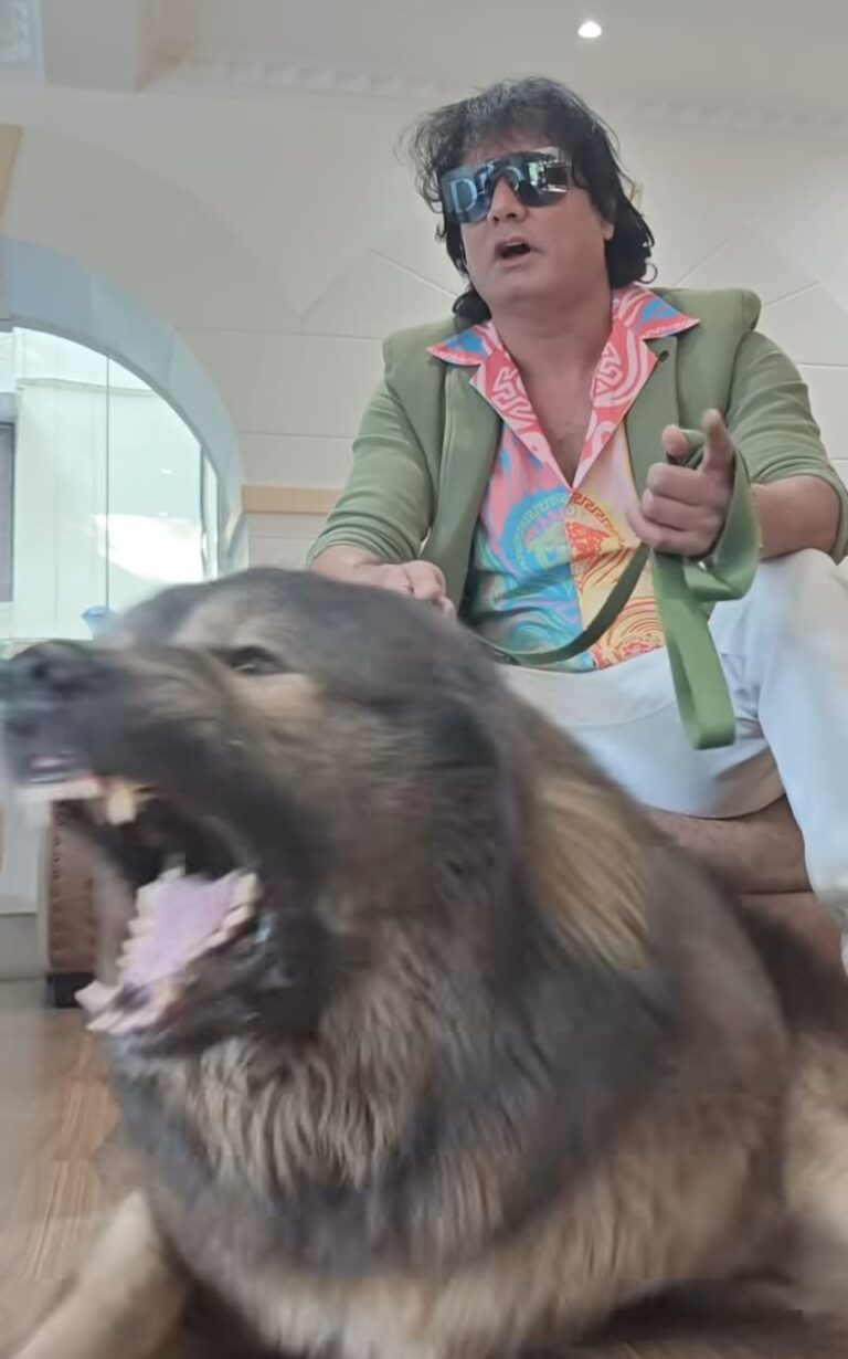 ED Raids Bengaluru Dog Breeder Who Claimed to Own Rs 50-Crore Canine