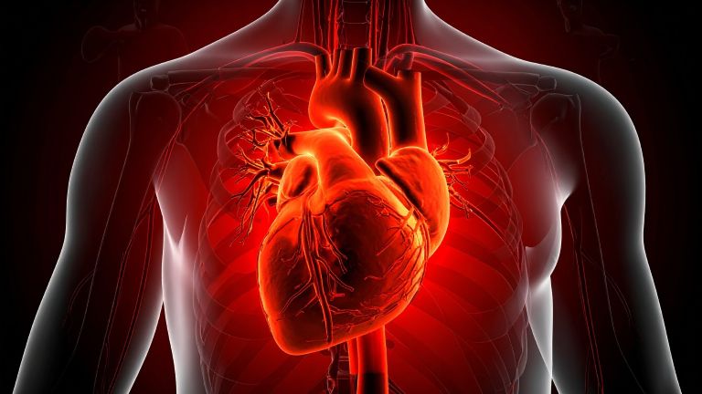 Covid Can Accelerate Ageing In Blood Vessels By 5 Years In Women: Study