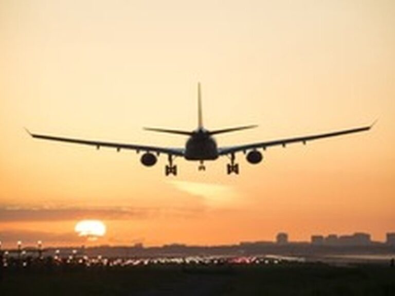 Parliamentary Panel May Summon Airline Chiefs Amid Nationwide Air Travel Disruption