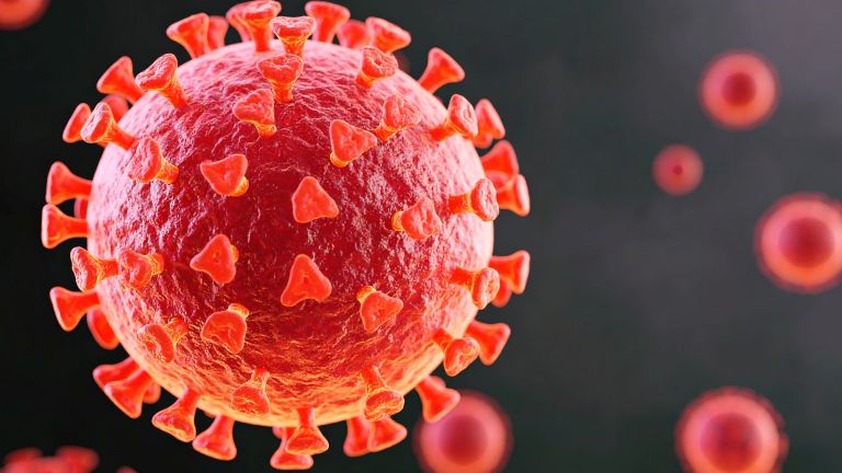 AIIMS Study Finds No Link Between Covid-19 Vaccines and Sudden Deaths Among Young Adults