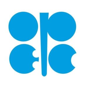 UAE Considered Exiting OPEC Over Oil Quota Concerns: Former Indian Envoy Navdeep Singh Suri