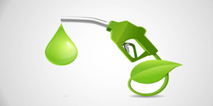 Government Waives Excise Duty on Higher Ethanol-Blended Petrol to Boost Biofuel Push