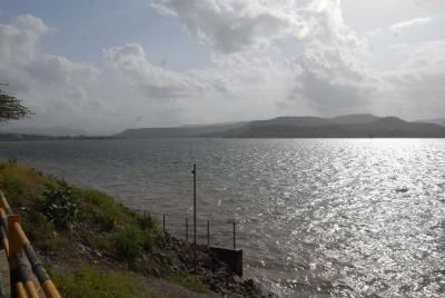 Maharashtra Orders Immediate Halt to Dam Water Release for Irrigation Amid Rising Water Crisis Fears
